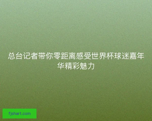 总台记者带你零距离感受世界杯球迷嘉年华精彩魅力
